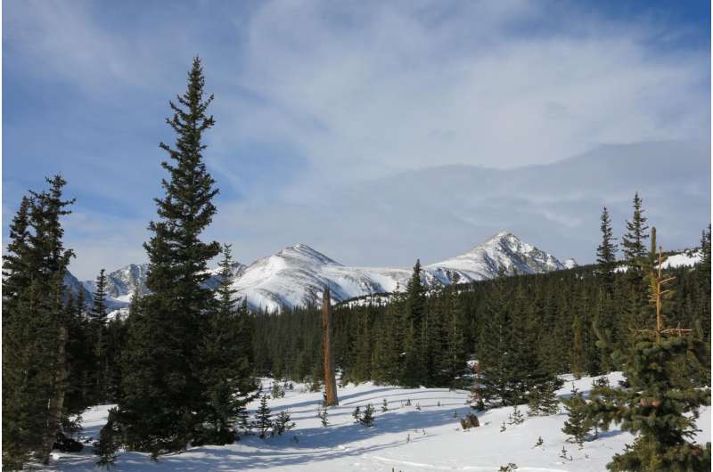 Earlier snowmelt reduces forests' ability to regulate atmospheric carbon dioxide