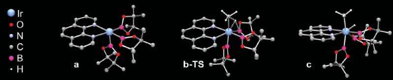 Efficient methane C-H bond activation achieved for the first time