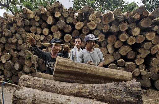 EU hopes licensing system will help save Indonesian forests