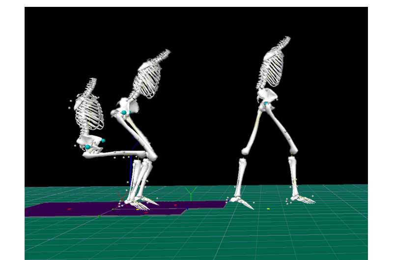 Exercise scientist examines mechanics of movement in MS patients