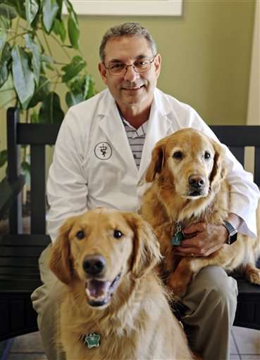 'Fear-free' veterinarians aim to reduce stress for pets