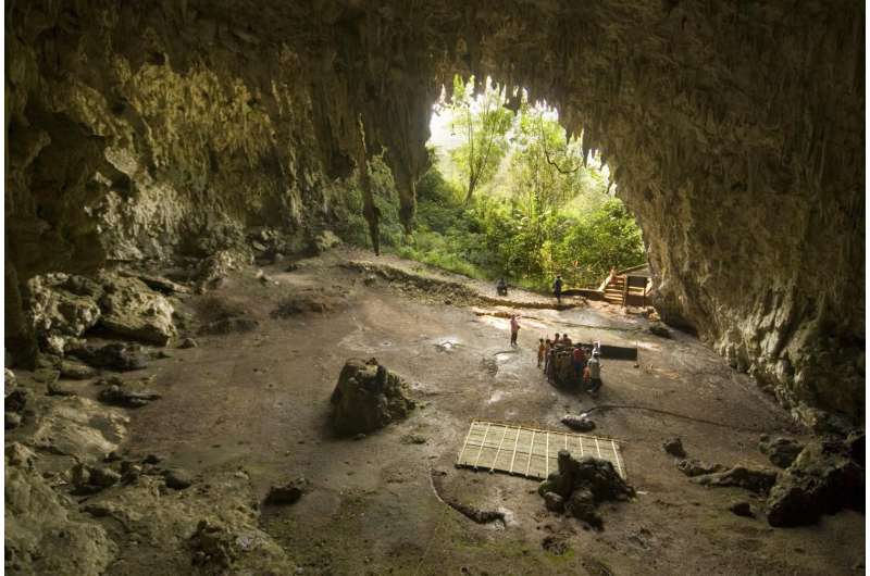 Fire discovery sheds new light on 'hobbit' demise