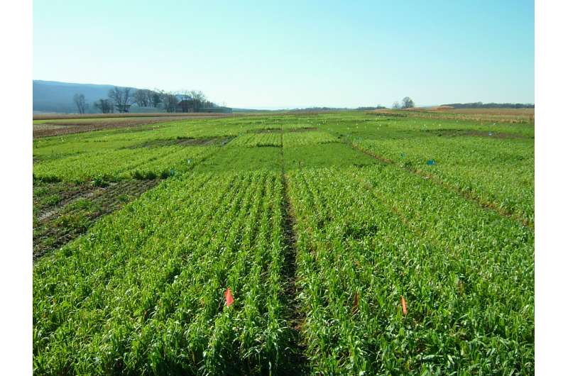 First-of-kind study suggests cover crop mixtures increase agroecosystem services