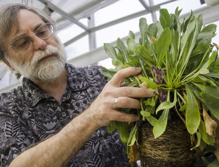 Genetic studies toward plants that resist parasitic weeds