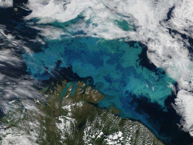 Giant algal bloom sheds light on formation of White Cliffs of Dover