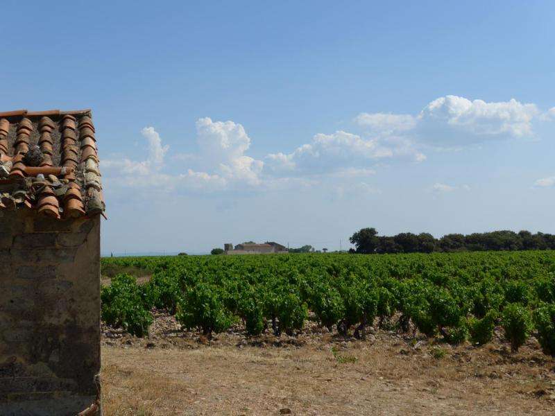 Global warming pushes wines into uncharted terroir
