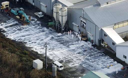 Highly-contagious bird flu found in Japan, culling start