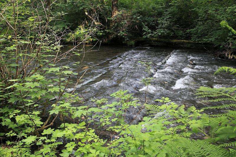 High-tech river studies reveal benefits of habitat restoration for fish