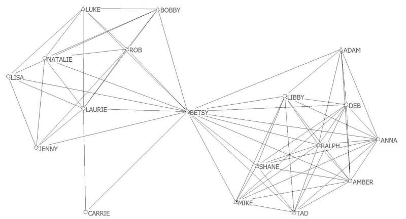 How friendship networks at college impact students' academic and social success