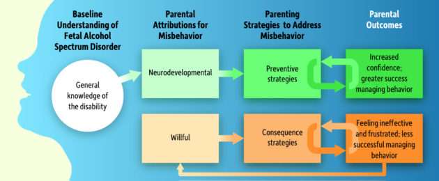 How thinking about behavior differently can lead to happier FASD families