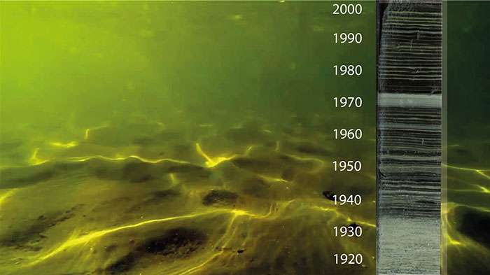 Human activities trigger hypoxia in freshwaters around the globe