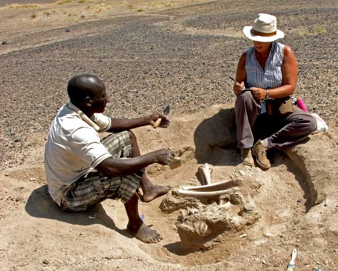 Hunter-gatherer massacre suggests groups of humans waged war earlier than we thought