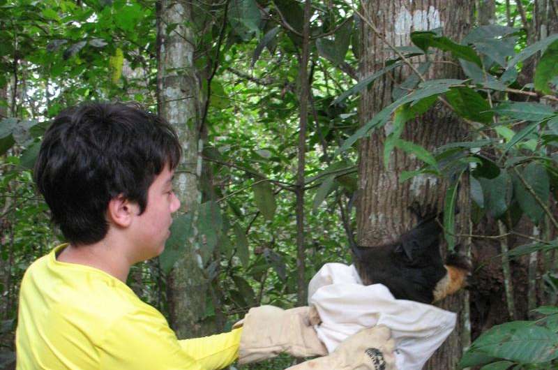 Improving safety for volunteer wildlife rehabilitators