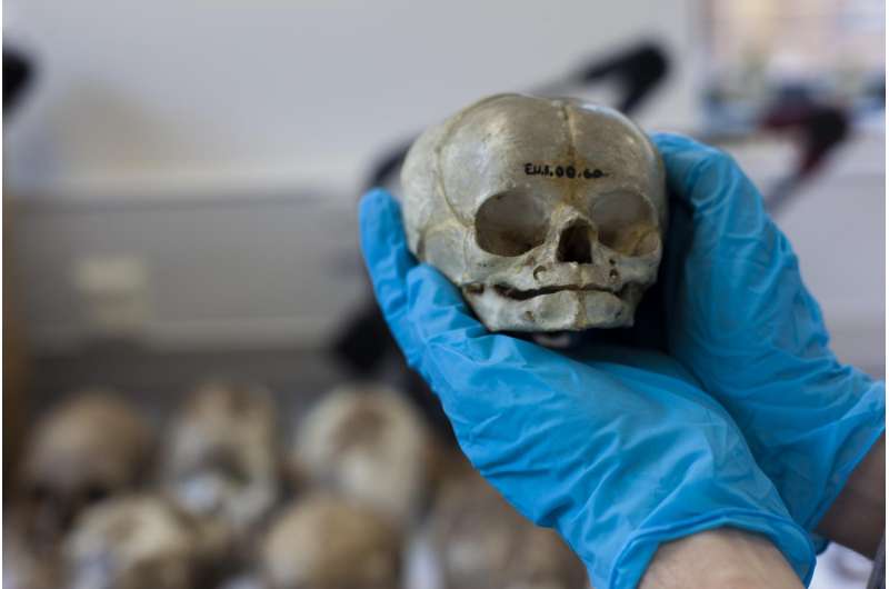 Infant bodies were 'prized' by 19th century anatomists, study suggests