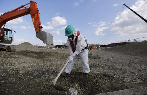 Japan doubles cost estimate for Fukushima cleanup