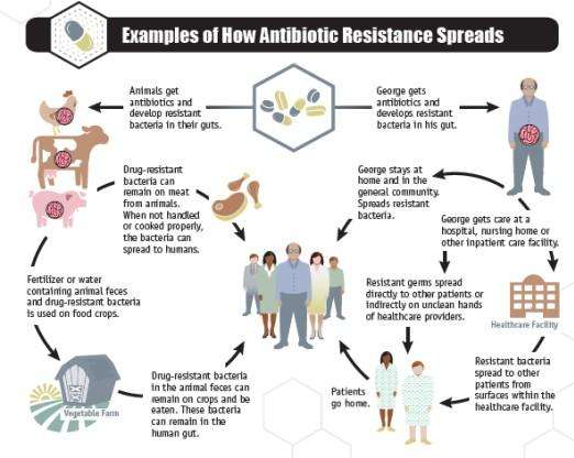 Journal publishes special section on antibiotics in agroecosystems