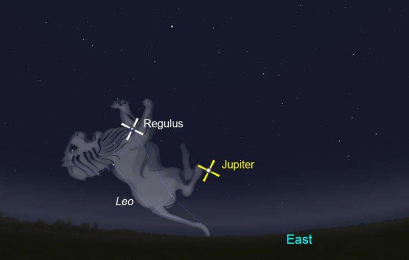 Jupiter returns as king of the night sky