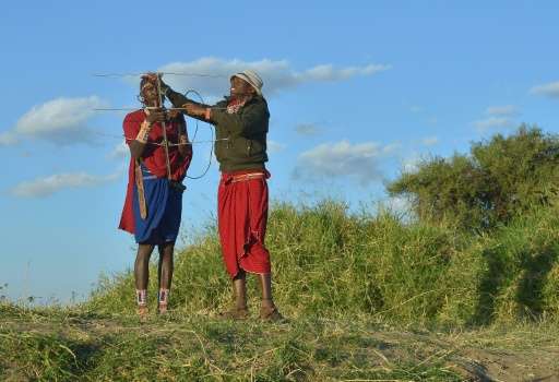 Kenyan Maasai 'Morans' (warriors) assemble a radio antenna to scan for a signal from a radio-collar fitted lioness in order to e