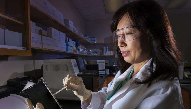 Lab scientists identify new genetic mutations in antibiotic-resistant bioterrorism agent