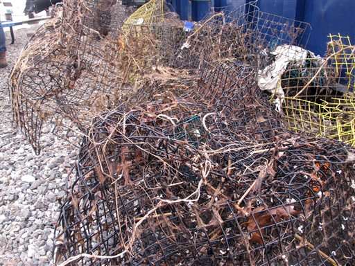 Land mines of the sea: Cleaning up lost fishing gear