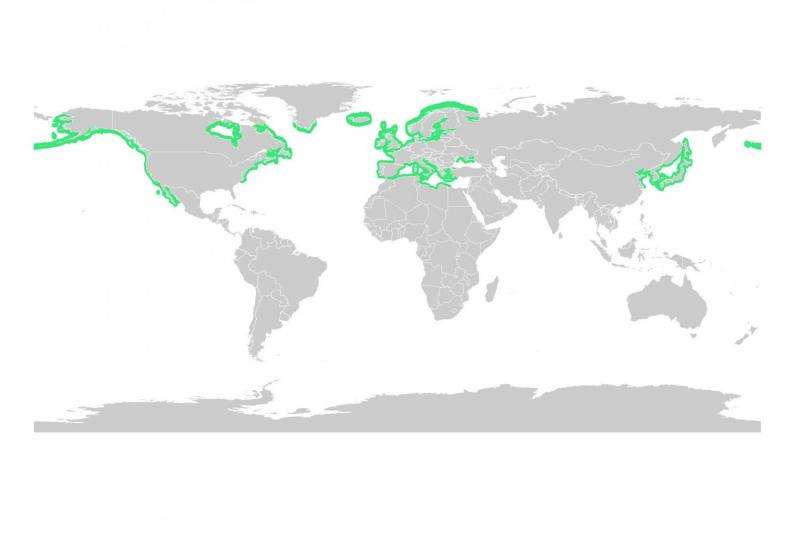 Land plant became key marine species