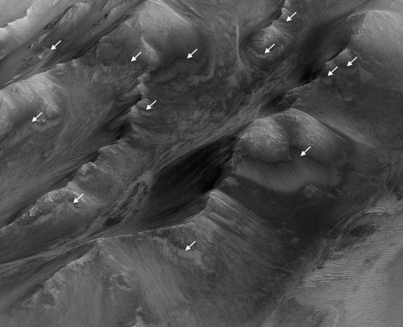 Mars Canyons Study Adds Clues about Possible Water