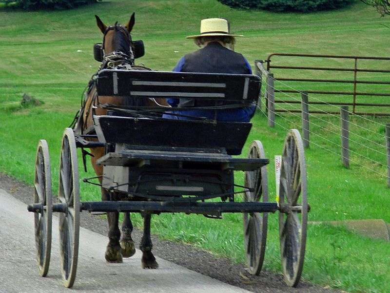 Measles outbreak among amish highlights need for vaccinations