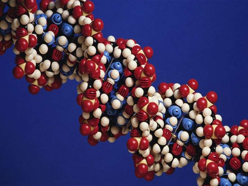 <i>PITX2</i>DNA在前列腺活检中可行
