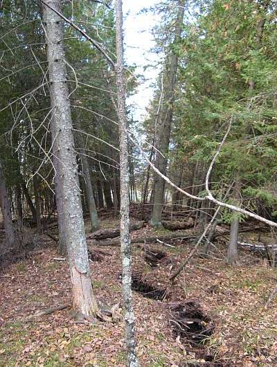 Mysterious menominee crack is unusual geological pop-up feature