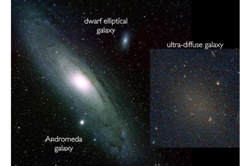 Mystery of ultra-diffuse faint galaxies solved