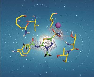 Neutron crystallography aids in drug design