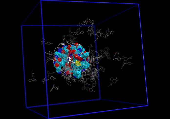 New computational tool may speed drug discovery