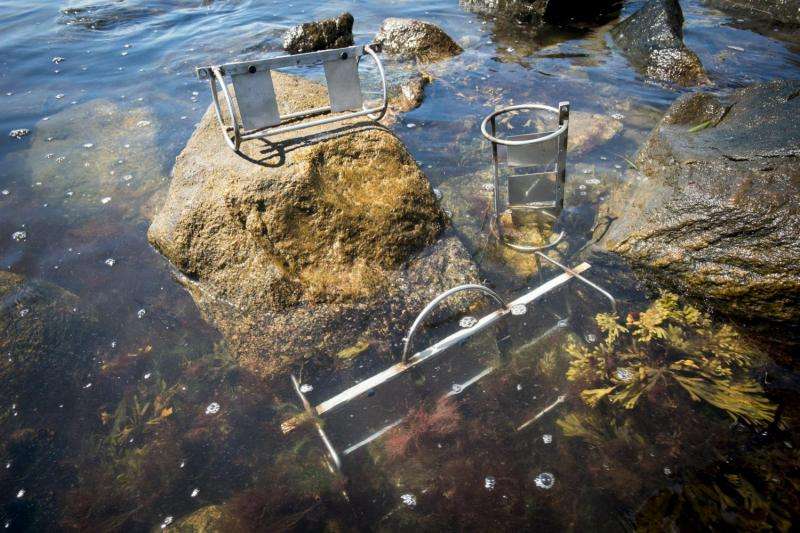 New device improves measurement of water pollution