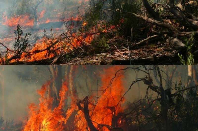 New modelling on bushfires shows how they really burn through an area
