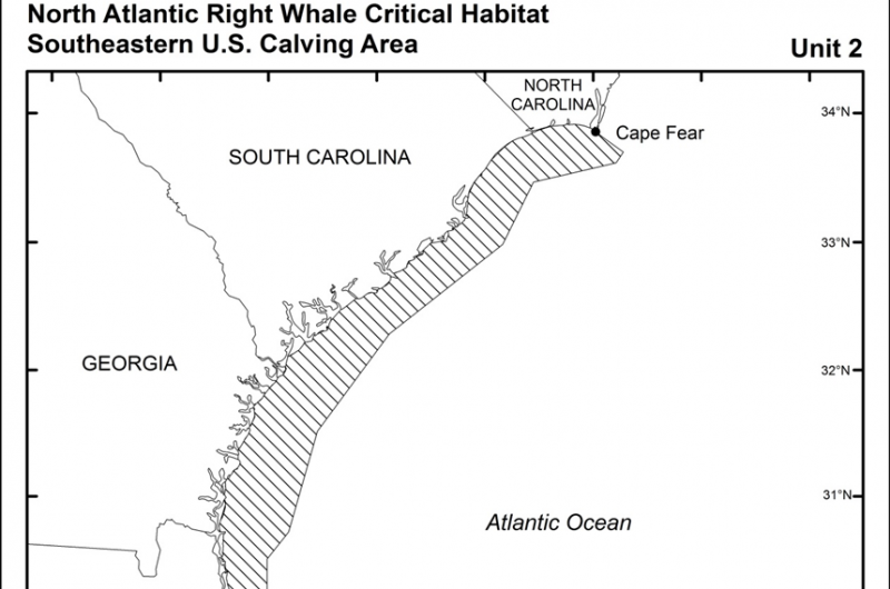 Noaa expands critical habitat for endangered North Atlantic right whales
