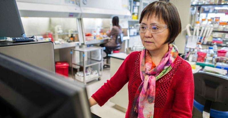 NREL's Min Zhang keeps her 'hugs' happy, leading to biofuel breakthroughs