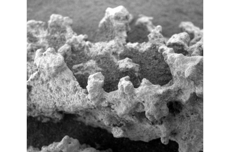 Peculiar ‘cauliflower rocks’ may hold clues to ancient Mars life