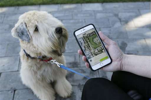 Pet Tech offers to keep animals safe, healthy and connected
