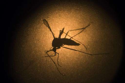 Q&A: A look at Texas' first homegrown case of Zika