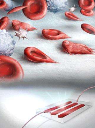 Quantitative assessment of dynamic deformability and adhesion of red blood cells possible