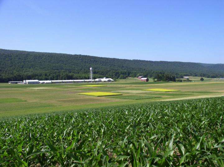 Recoupling crops and livestock offers energy savings to Northeast dairy farmers