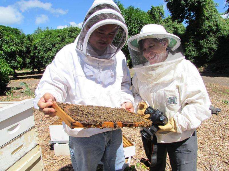 Researcher provides global perspective on honeybee viruses
