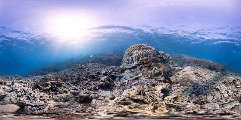 Rising CO2 threatens coral and people who use reefs