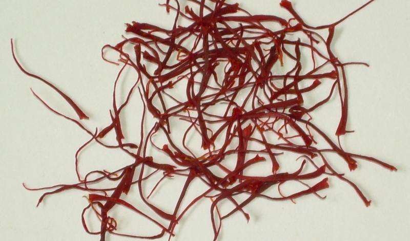 Saffron – how to tell the real deal from a fake