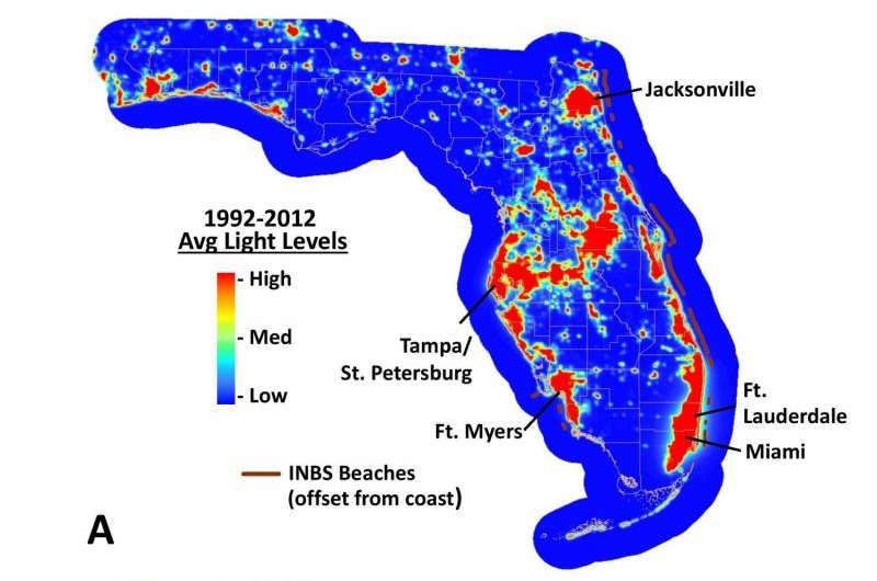 Satellites show Florida beaches becoming darker, and that's good for sea turtles