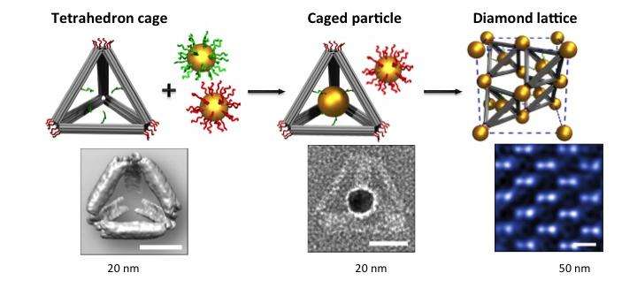 Scientists guide gold nanoparticles to form 'diamond' superlattices