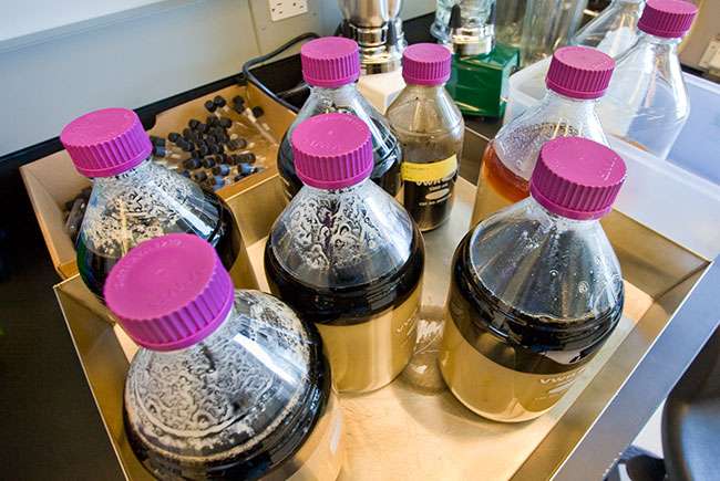Scientists harness CO2 to consolidate biofuel production process