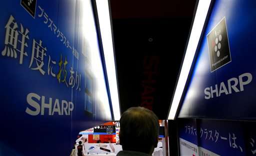 Sharp weighs investment proposals, decision within a month