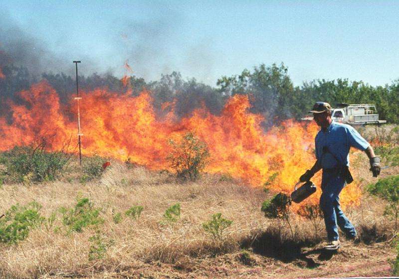 Soil mapping may indicate success of brush control method