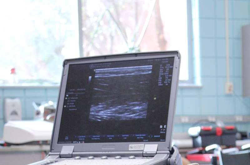 Study finds ultrasound is reliable, inexpensive way to measure health